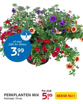 Praxis Perkplanten mix 19 cm aanbieding