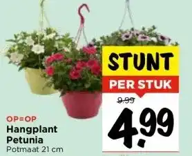 Vomar Voordeelmarkt Hangplant Petunia aanbieding