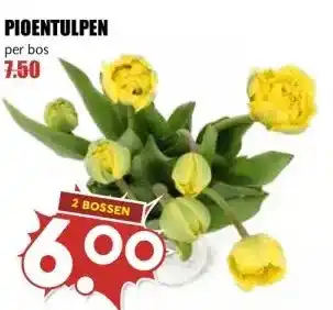 MCD Supermarkt PIOENTULPEN aanbieding