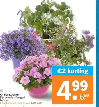 Albert Heijn AH Hangplanten aanbieding