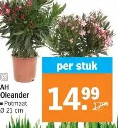 Albert Heijn AH Oleander aanbieding