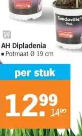 Albert Heijn AH Dipladenia Potmaat 19 cm aanbieding