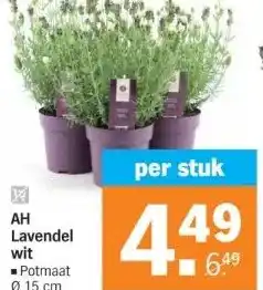 Albert Heijn Lavendel aanbieding