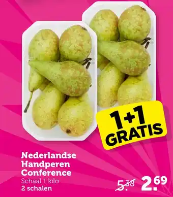 Coop Nederlandse Handperen Conference aanbieding