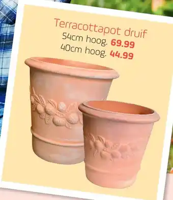 Coppelmans Terracottapot druif 5/cm aanbieding