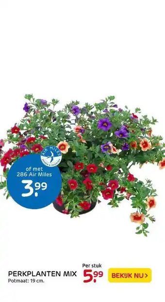 Praxis Tuincentrum Perkplanten Mix aanbieding