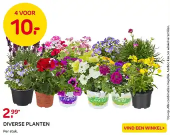 Praxis DIVERSE PLANTEN aanbieding