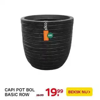 Praxis Tuincentrum Capi Pot Bol Basic Row aanbieding