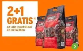 GAMMA 2+1 GRATIS op alle houtskool en briketten aanbieding