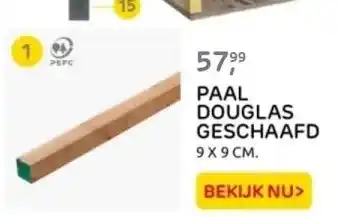 Praxis GESCHAAFD PAAL aanbieding