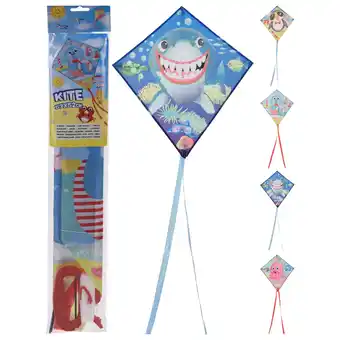 Pets Place Homestyle Vlieger - Buitenspeelgoed - 52x57 cm 4 Assorti aanbieding