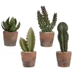 Pets Place Decoris Cactus Plastic - Decoratie - 8x8x23 cm Assorti aanbieding
