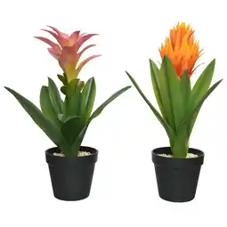Pets Place Decoris Bromelia In Pot - Decoratie - 20x20x40 cm Assorti aanbieding