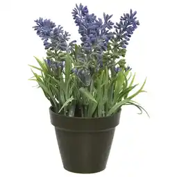 Pets Place Decoris Lavendel In Pot - Decoratie - 12x12x17 cm Paars aanbieding