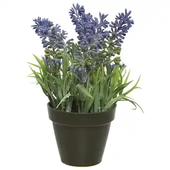 Pets Place Decoris Lavendel In Pot - Decoratie - 12x12x17 cm Paars aanbieding