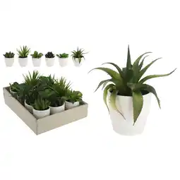 Pets Place Homestyle Plant In Pot - Kunstplanten - 15 cm 6 Assorti aanbieding