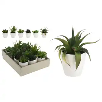 Pets Place Homestyle Plant In Pot - Kunstplanten - 15 cm 6 Assorti aanbieding