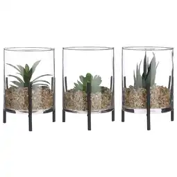 Pets Place Mica Decorations Vetplant In Cylinder - Decoratie - Ø10.5x15 cm Groen 3 Assorti aanbieding