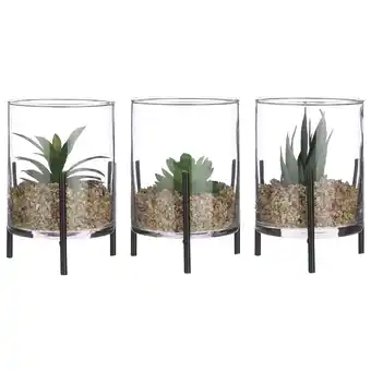 Pets Place Mica Decorations Vetplant In Cylinder - Decoratie - Ø10.5x15 cm Groen 3 Assorti aanbieding