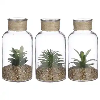 Pets Place Mica Decorations Vetplant In Glazen Pot - Decoratie - Ø10x20 cm Groen 3 Assorti aanbieding
