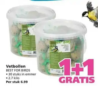 Ranzijn Vetbollen Best For Birds 1+1 Gratis aanbieding