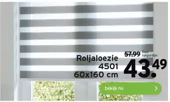 GAMMA Roljaloezie 4501 60x160 cm aanbieding