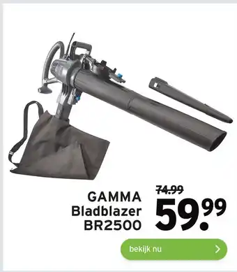 GAMMA GAMMA Bladblazer BR2500 aanbieding