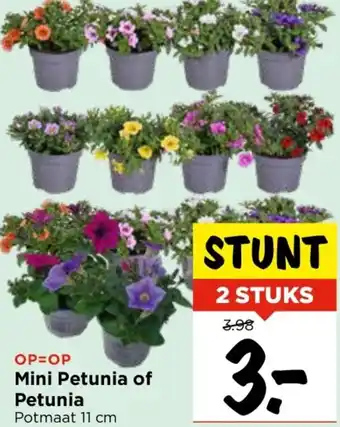 Vomar Voordeelmarkt Mini Petunia of Petunia aanbieding