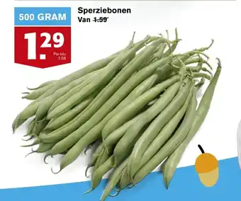 Hoogvliet Sperziebonen 500g aanbieding