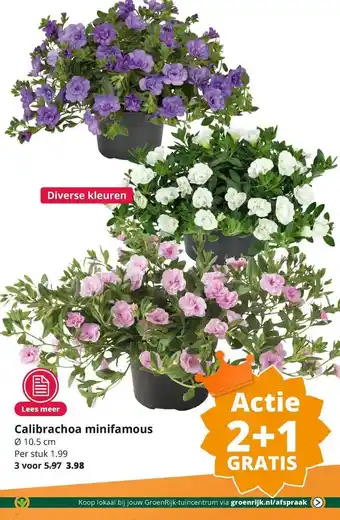 GroenRijk Calibrachoa Minifamous 2+1 Gratis aanbieding