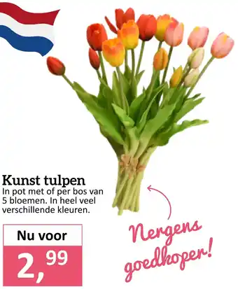 Tuincentrum de Driesprong Kunst tulpen aanbieding