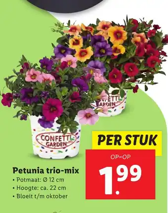 Lidl Petunia trio mix aanbieding