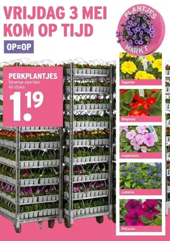 GAMMA PERKPLANTJES aanbieding