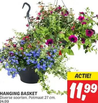 Dekamarkt HANGING BASKET aanbieding