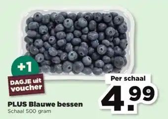 PLUS PLUS Blauwe bessen aanbieding