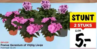 Vomar Voordeelmarkt Franse Geranium of Vlijtig Liesje aanbieding