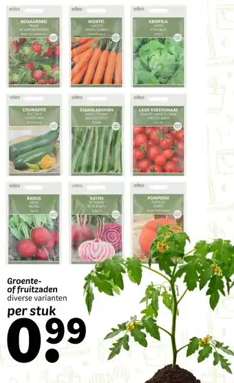 Wibra Groente of fruitzaden aanbieding