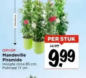 Vomar Voordeelmarkt OP=OP Mandeville Piramide aanbieding