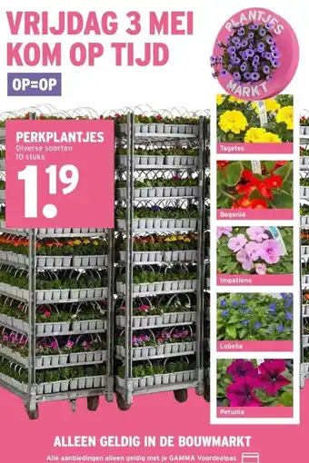 GAMMA PERKPLANTJES aanbieding