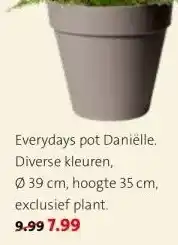 Intratuin Everydays pot Daniëlle. aanbieding