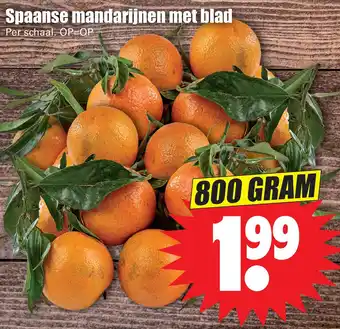 Dirk Spaanse mandarijnen met blad aanbieding