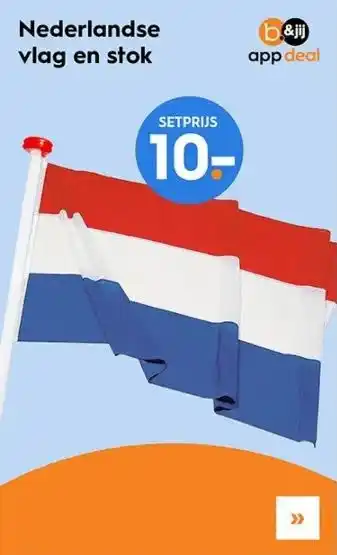 Blokker Nederlandse vlag en stok aanbieding