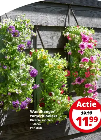 GroenRijk Wandhanger zomerbloeiers 50 cm aanbieding