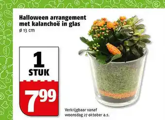 Poiesz Halloween Arrangement Met Kalanchoë In Glas aanbieding