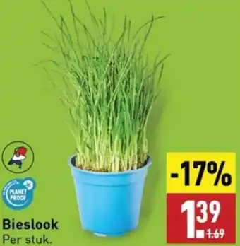 ALDI Bieslook aanbieding