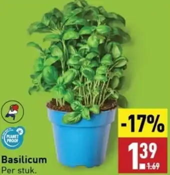 ALDI Basilicum aanbieding