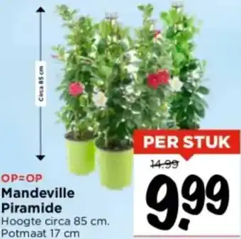 Vomar Voordeelmarkt Mandeville Piramide aanbieding