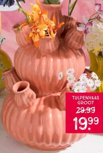 Xenos TULPENVAAS GROOT aanbieding