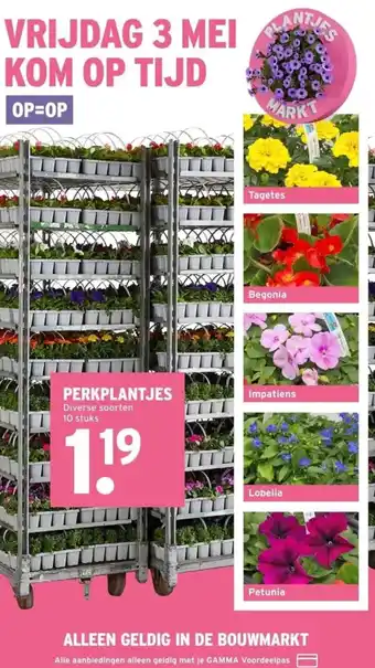 GAMMA PERKPLANTJES aanbieding