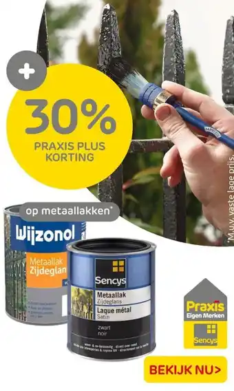 Praxis op metaallakken aanbieding